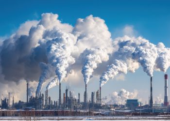 Cambiamenti climatici, inquinamento atmosferico e salute respiratoria: dalla diagnostica molecolare alla gestione delle allergie respiratorie